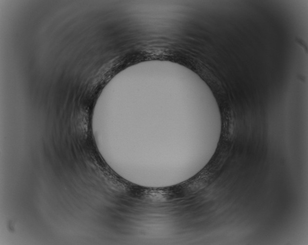 X0000103310710200809261337