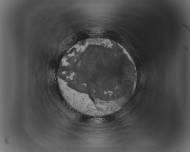 X0000103310711200809261337