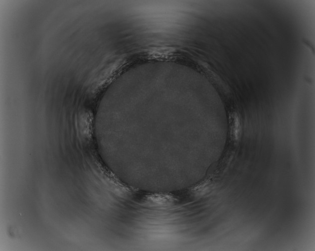 X0000103310712200809261337