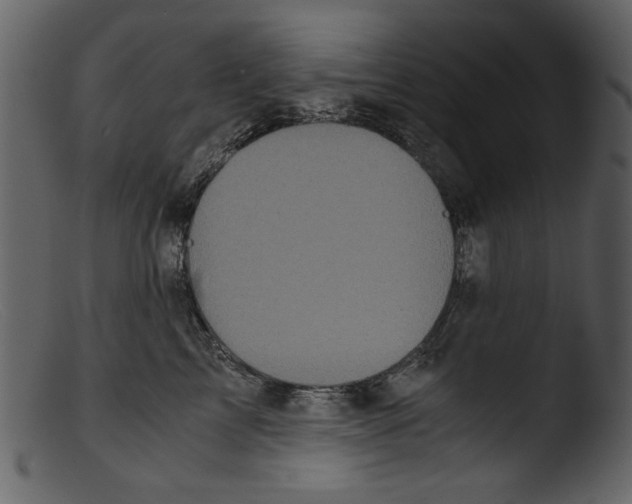 X0000103310713200809261337