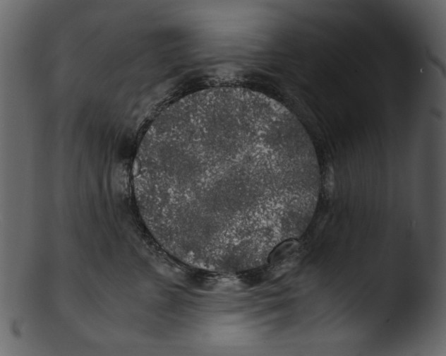 X0000103310715200809261337