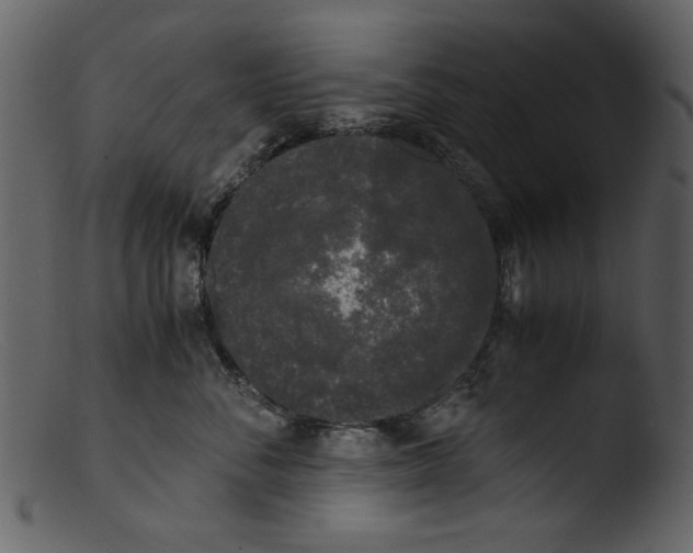 X0000103310716200809261337