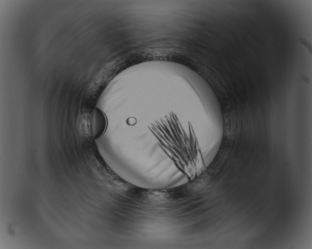 X0000103310718200809261337