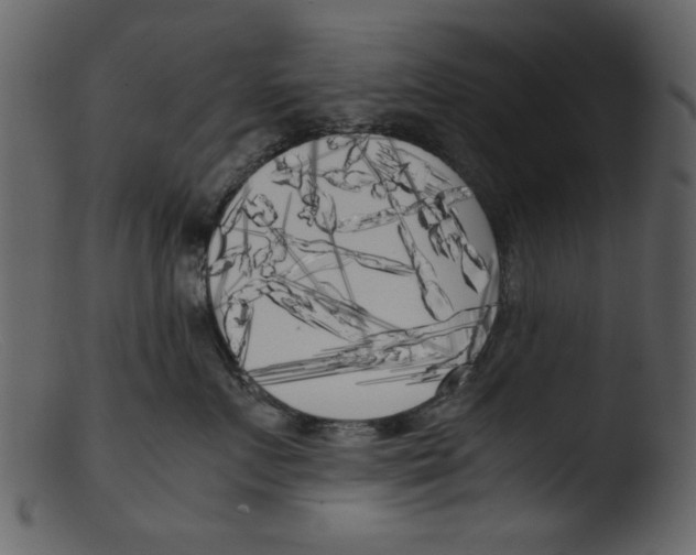 X0000103310719200809261337