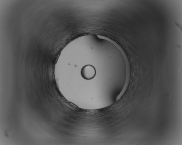 X0000103310720200809261337