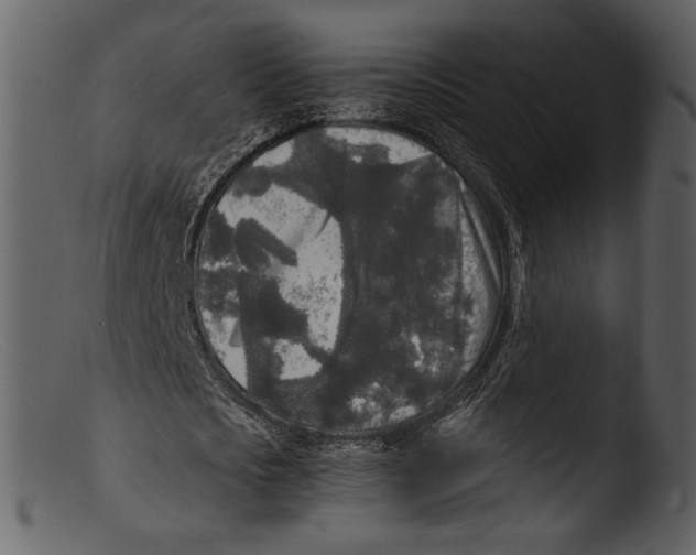 X0000103310721200809261336