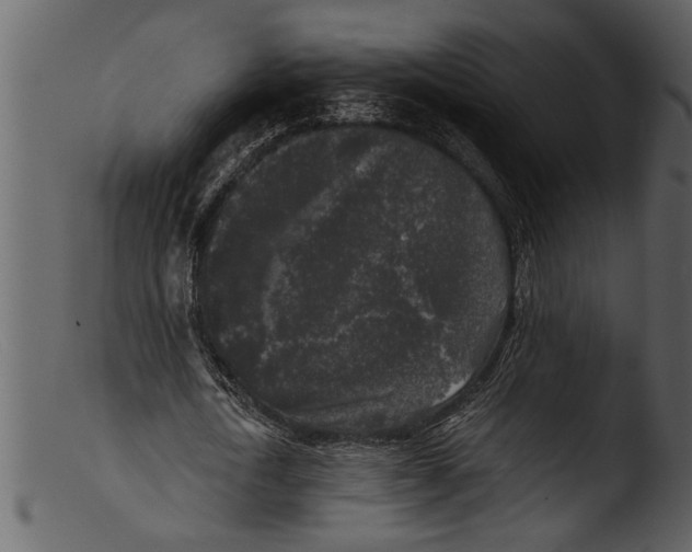 X0000103310722200809261336