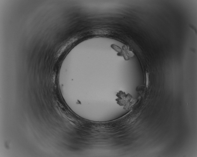 X0000103310723200809261336