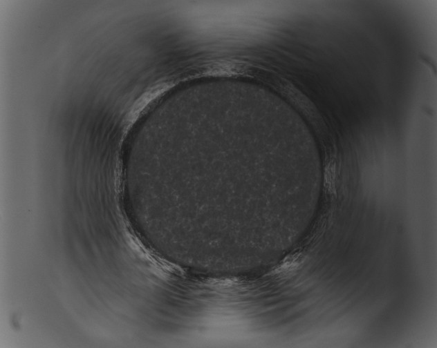 X0000103310724200809261336