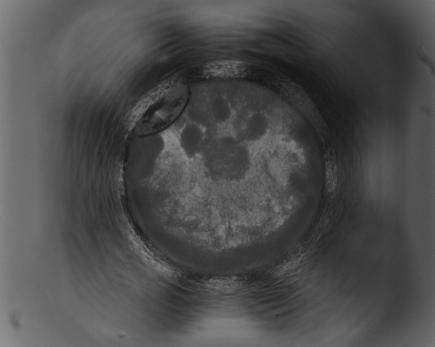 X0000103310725200809261336