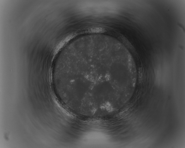 X0000103310726200809261336