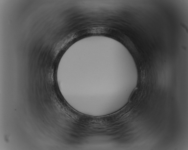 X0000103310727200809261336