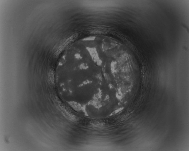 X0000103310729200809261336