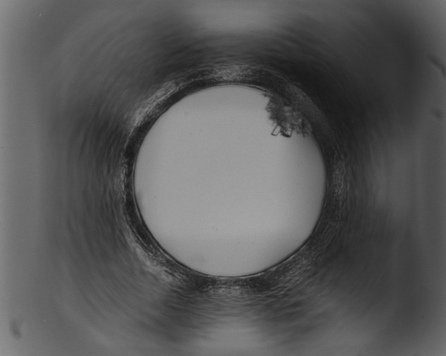 X0000103310730200809261336