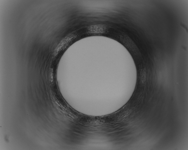 X0000103310731200809261336