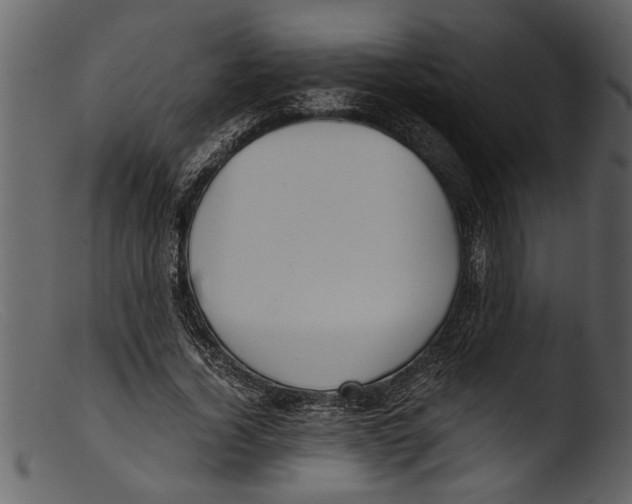 X0000103310732200809261336