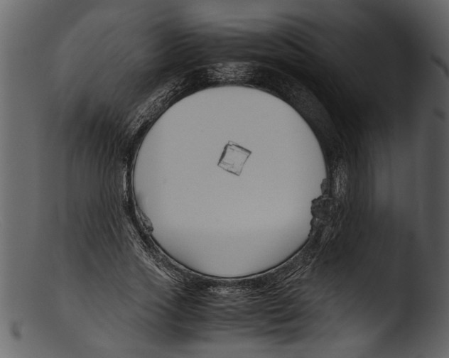 X0000103310733200809261336