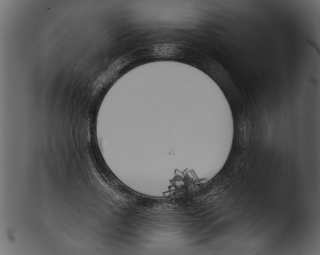 X0000103310734200809261336