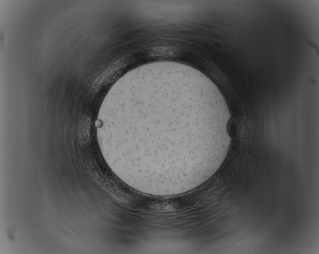 X0000103310735200809261336