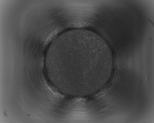 X0000103310736200809261336