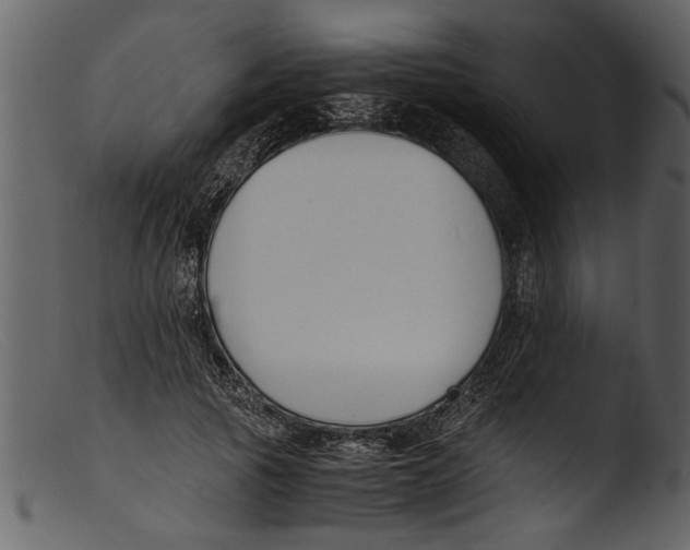 X0000103310737200809261336