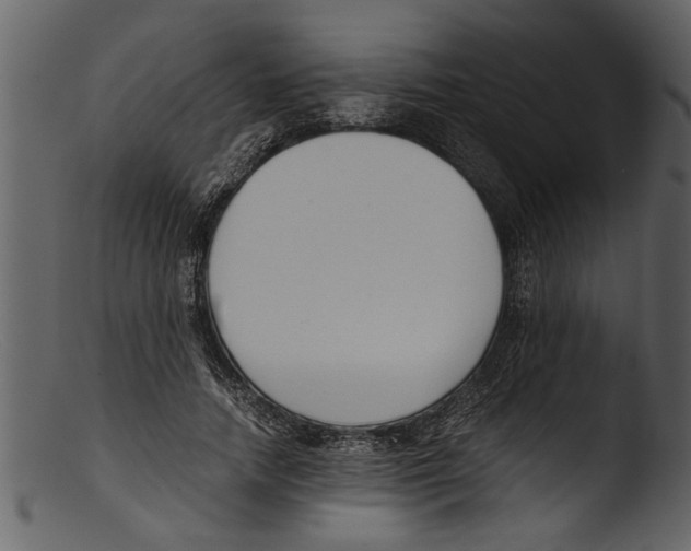 X0000103310738200809261336