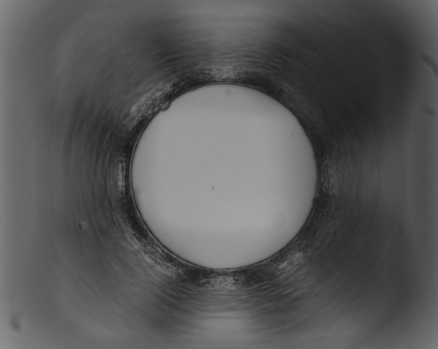 X0000103310740200809261336