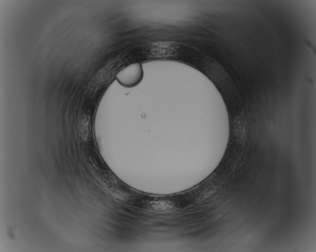 X0000103310741200809261336