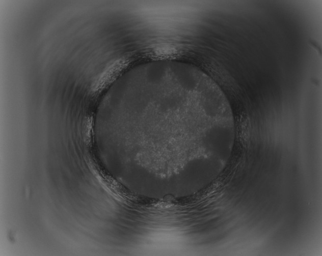 X0000103310742200809261336