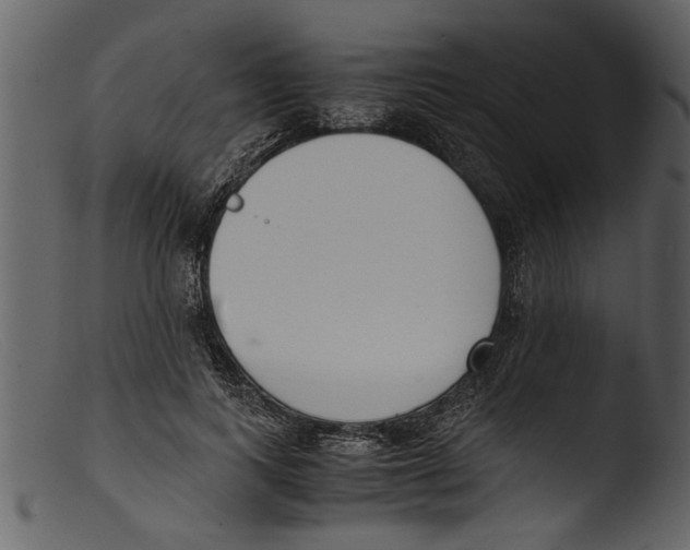 X0000103310743200809261336