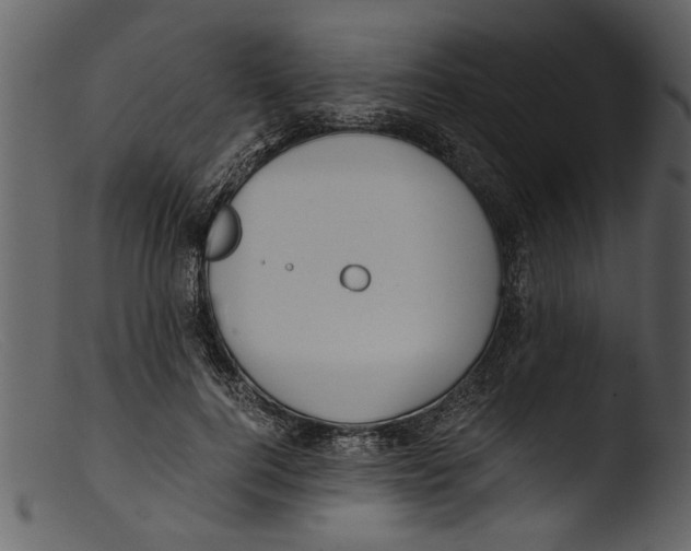 X0000103310744200809261336