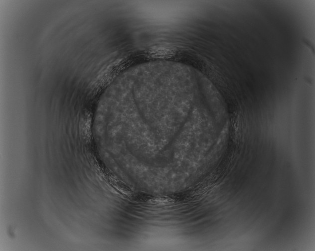 X0000103310745200809261336