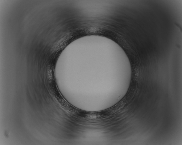 X0000103310746200809261336