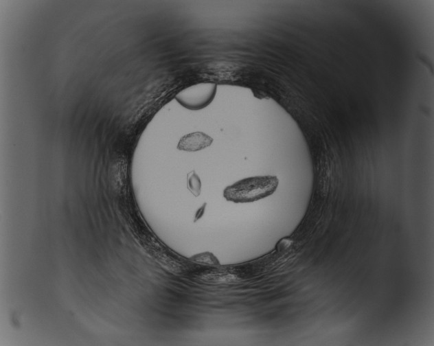 X0000103310747200809261336