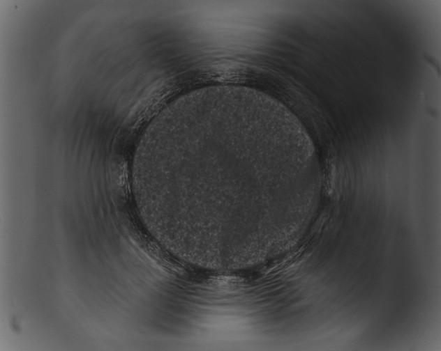 X0000103310748200809261336