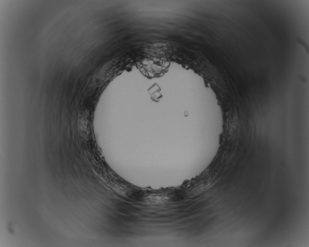 X0000103310749200809261336