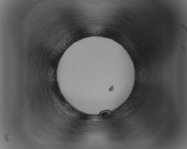 X0000103310750200809261336