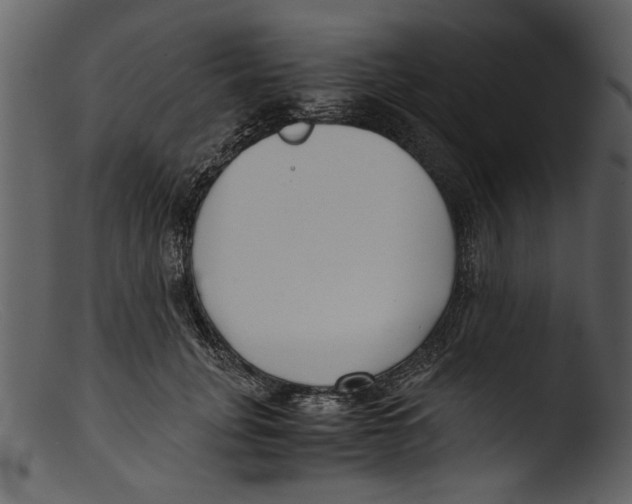 X0000103310751200809261336