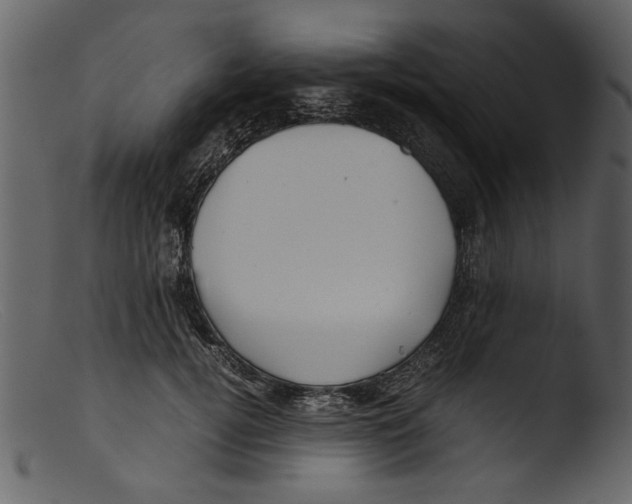 X0000103310752200809261336