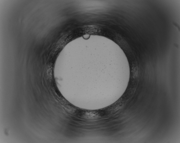 X0000103310753200809261336