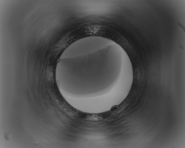 X0000103310754200809261336