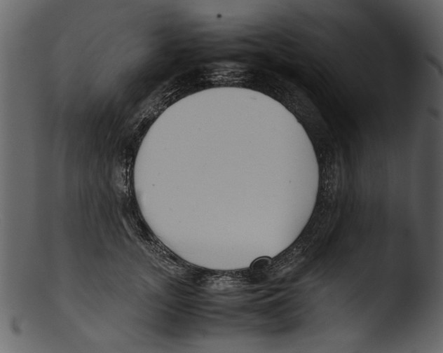 X0000103310755200809261336