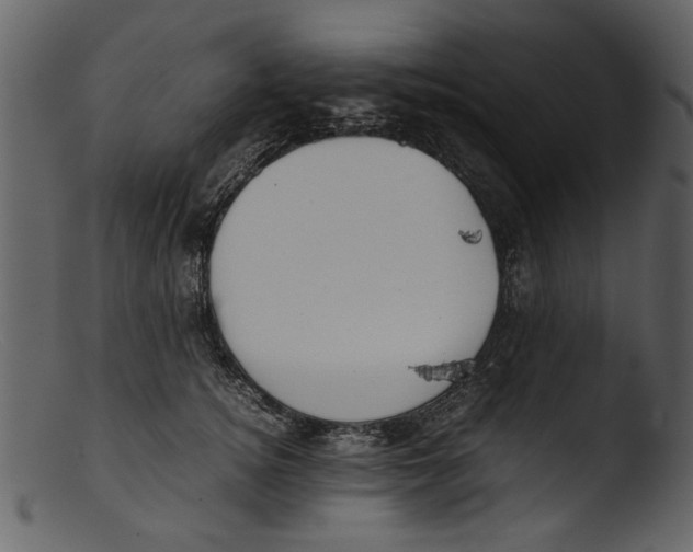 X0000103310756200809261336