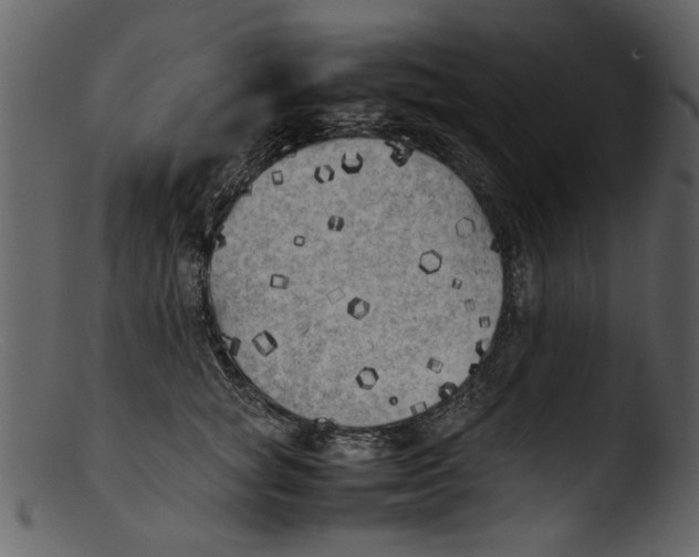 X0000103310757200809261336
