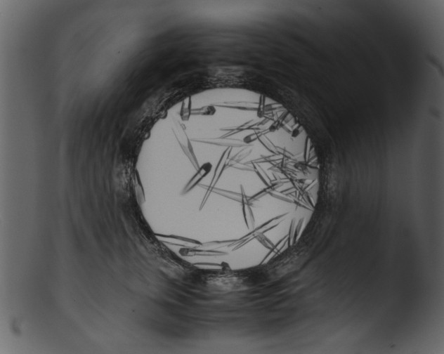 X0000103310759200809261336