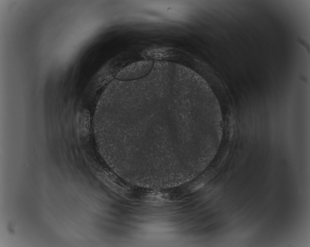 X0000103310760200809261336