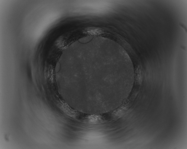 X0000103310762200809261336