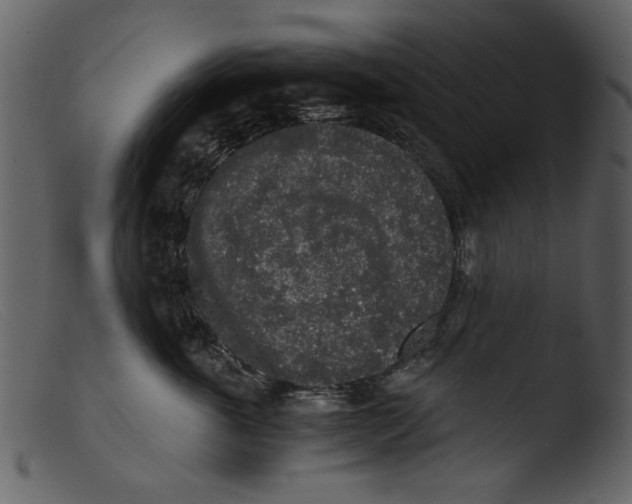 X0000103310763200809261336