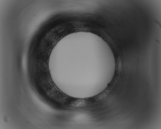 X0000103310764200809261336