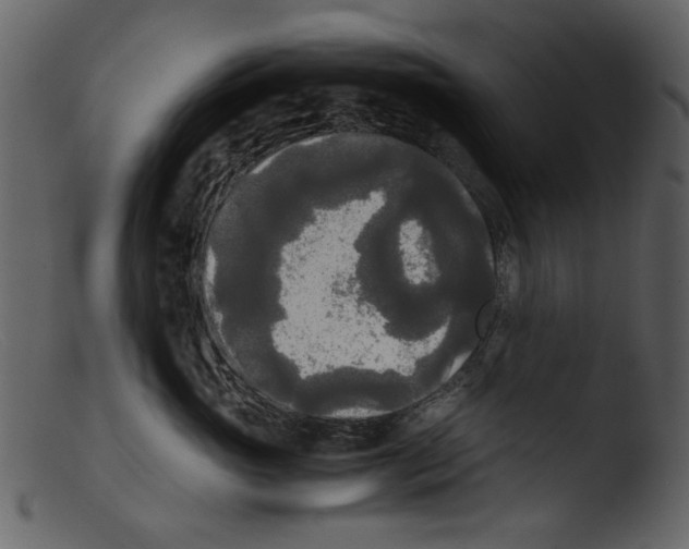 X0000103310765200809261337